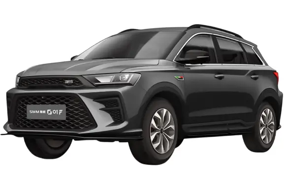 اس دبلیو ام G01