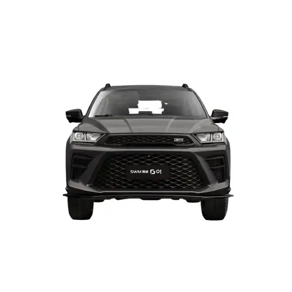 اس دبلیو ام G01F