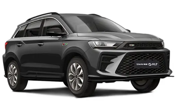 اس دبلیو ام G01